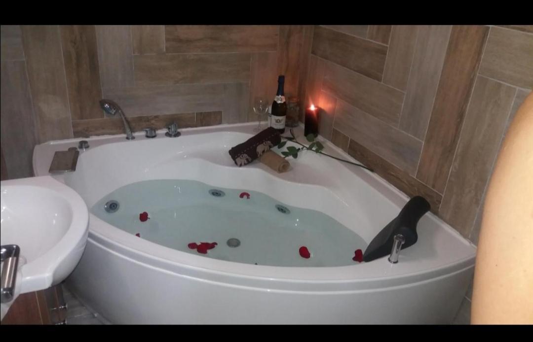 נובי סאד Marina Jacuzzi Apartment Free Parking מראה חיצוני תמונה