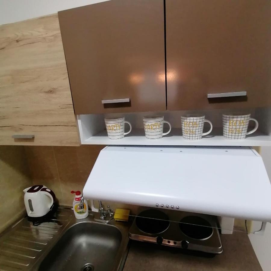 נובי סאד Marina Jacuzzi Apartment Free Parking מראה חיצוני תמונה