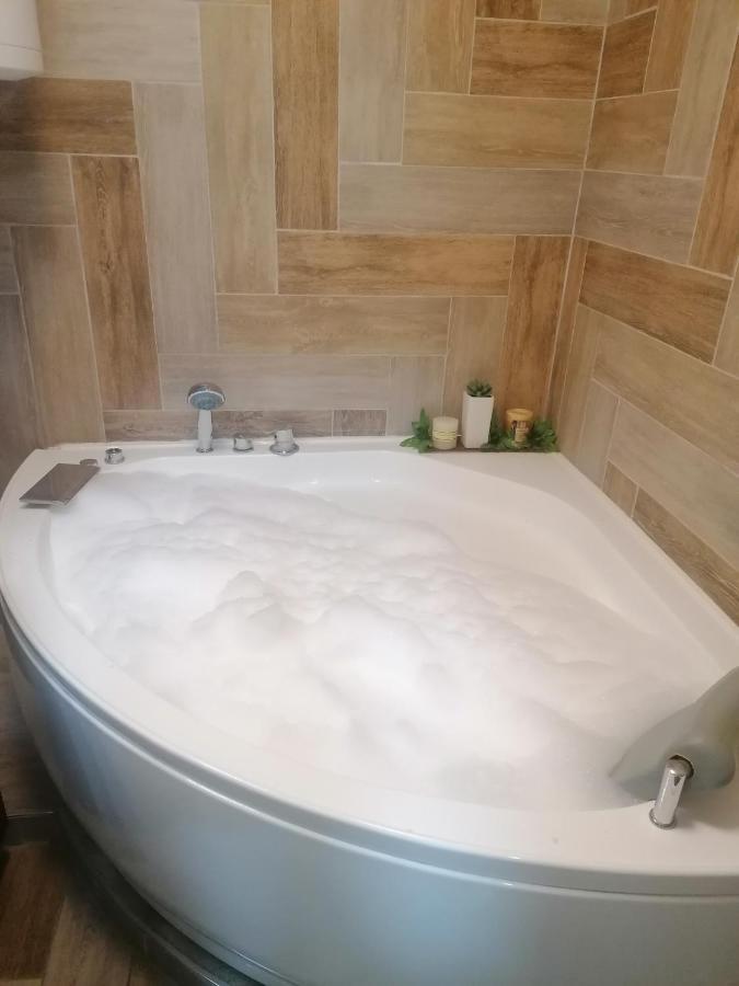 נובי סאד Marina Jacuzzi Apartment Free Parking מראה חיצוני תמונה